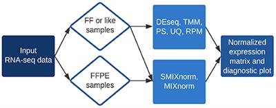 SMIXnorm: Fast and Accurate RNA-Seq Data Normalization for Formalin-Fixed Paraffin-Embedded Samples